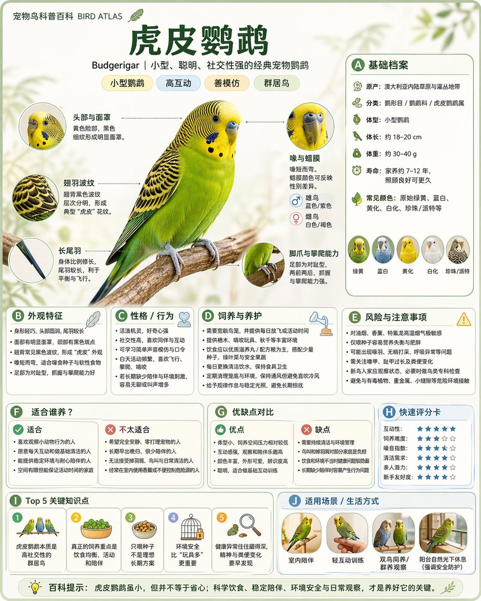 Popular Science Encyclopedia Image